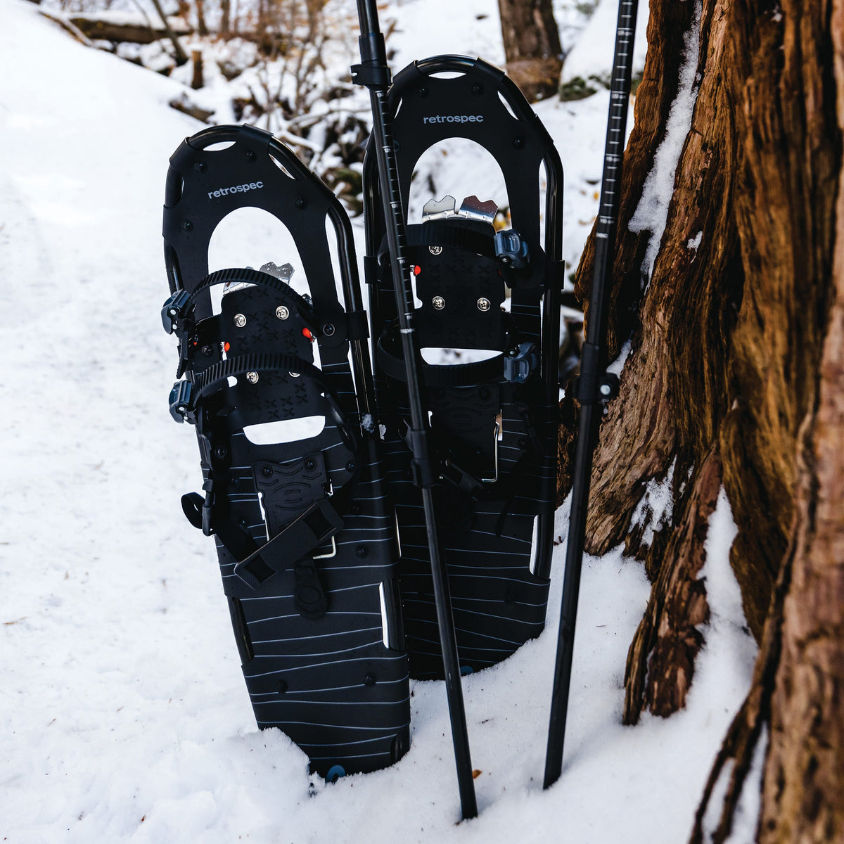 Drifter Snowshoe Bundle With Trekking Poles